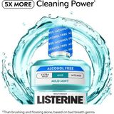Asitan Zero Clean Mint Ağız Bakım Gargarası 1.5lt - Çok Renkli
