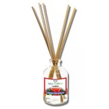 Aşk-I Sermest Toptan Amber Aromalı Bambu Çubuklu Oda Kokusu Reed Diffuser Ortam Kokusu Parfüm, Oval Şişe, 100 Ml, 10 Adet