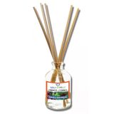 Aşk-I Sermest Toptan Firdevs Cennet Çiçek Aromalı Bambu Çubuklu Oda Kokusu Reed Diffuser Ortam Kokusu Parfüm, Oval Şişe, 100 Ml, 3 Ad