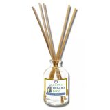 Aşk-I Sermest Toptan Hugoo Boss Çiçek Aromalı Bambu Çubuklu Oda Kokusu Reed Diffuser Ortam Kokusu Parfüm, Oval Şişe, 100 Ml, 10 Adet