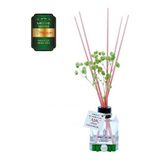 Aşk-I Sermest Toptan Meczub Meyve Serisi Mango Kokulu 10 X 60 Ml Küp Şişe Bambu Çubuklu Ortam Kokusu Reed Diffuser Oda Kokusu