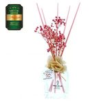 Aşk-I Sermest Toptan Meczub Meyve Serisi Şeftali Kokulu 10 X 120 Ml Küp Şişe Bambu Çubuklu Ortam Kokusu Reed Diffuser Oda Kokusu