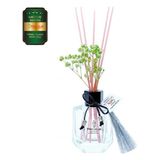 Aşk-I Sermest Toptan Meczub Meyve Serisi Yeşil Elma Kokulu 10 X 120 Ml Köşeli Şişe Bambu Çubuklu Ortam Kokusu Reed Diffuser Oda Kokusu