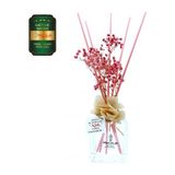 Aşk-I Sermest Toptan Meczub Meyve Serisi Yeşil Elma Kokulu 5 X 120 Ml Küp Şişe Bambu Çubuklu Ortam Kokusu Reed Diffuser Oda Kokusu