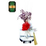 Aşk-I Sermest Toptan Meczub Parfüm Serisi İnvictuss Kokulu 5 X 200 Ml Silindir Şişe Bambu Çubuklu Ortam Kokusu Reed Diffuser Oda Kokusu