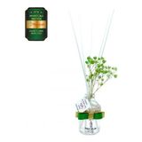 Aşk-I Sermest Toptan Meczub Parfüm Serisi İnvictuss Kokulu 5 X 50 Ml Oval Şişe Bambu Çubuklu Ortam Kokusu Reed Diffuser Oda Kokusu
