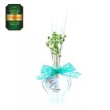 Aşk-I Sermest Toptan Meczub Parfüm Serisi İnvictuss Kokulu 5 X 60 Ml Kalp Şişe Bambu Çubuklu Ortam Kokusu Reed Diffuser Oda Kokusu
