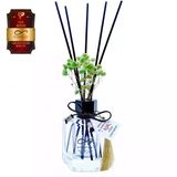 Aşk-I Sermest Toptan Ölümsüz Aşk Aşk Serisi Aşk Bahçeleri Kokulu 120 Ml Köşeli Şişe Bambu Çubuklu Ortam Kokusu Reed Diffuser Oda Kokusu