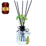 Aşk-I Sermest Toptan Ölümsüz Aşk Aşk Serisi Meczup Kokulu 5 X 120 Ml Köşeli Şişe Bambu Çubuklu Ortam Kokusu Reed Diffuser Oda Kokusu