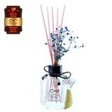 Aşk-I Sermest Toptan Ölümsüz Aşk Meyve Serisi Hindistan Cevizi 10 X 120 Ml Köşeli Şişe Bambu Çubuklu Ortam Kokusu Reed Diffuser Oda Kokusu