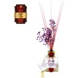 Aşk-I Sermest Toptan Ölümsüz Aşk Meyve Serisi Hindistan Cevizi Kokulu 5 X 60 Ml Küp Şişe Bambu Çubuklu Ortam Kokusu Reed Diffuser Oda Kokusu