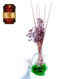 Aşk-I Sermest Toptan Ölümsüz Aşk Meyve Serisi Tropik Meyve Kokulu 5 X 50 Ml Oval Şişe Bambu Çubuklu Ortam Kokusu Reed Diffuser Oda Kokusu