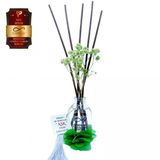 Aşk-I Sermest Toptan Ölümsüz Aşk Mix Serisi Hindistan Cevizi & Yasemin 10 X 50 Ml Oval Şişe Bambu Çubuklu Ortam Kokusu Reed Diffuser Oda Kokus