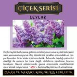 Aşk-I Sermest Toptan Ölümsüz Aşk Parfüm Serisi Onee Miilleon Kokulu 5 X 10 Ml Üçgen Şişe Oto Kokusu