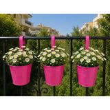 Askılı Balkon Saksı Seti, 3 Adet, Metal, Şeker Pembe 1,5Lt