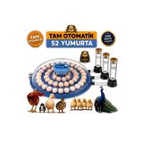 Aslan 52 Yumurta Kapasiteli Tam Otomatik Kuluçka Makinesi