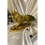 Aslan Kukreyen Aslan Galatasaray Biblosu