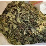 Aslan Pençesi 500 Gr Organik ( Testere Dişli, Yeni Mahsül, Doğal Kurutulmuş)