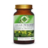 Aslan Pençesi Toz Ekstresi (Alchemilla Vulgaris)100 Gr. Cam Kavanoz