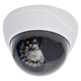 Aslanoğlu Store PM-1900 Gece Gündüz Sensörlü Maket Dome Kamera - Renkli