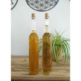 Aslanoğlu Store Toskana Yağdanlık - Sirkelik Şişe 2li Set