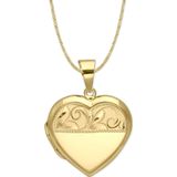 Aslı Gold Altın Kapaklı Kalp Model Madalyon Kolye (KLY1008)