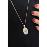 Aslı Gold Kuzey Yıldızı Oval Madalyon Sedef Mineli Altın Kolye (KLY1277)