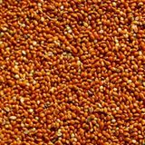 Aslımlar 1 kg Kırmızı Darı Kuş Yemi
