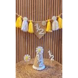 asöy 6 Aylık 6 months Şapka Mama Sandalyesi Duvar Flaması Papatya 1/2 Yarım Yaş Partisi 4 lü Set Flama