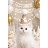 asöy Kedi Için Doğum Günü Parti Şapkası Kedi Şapka Krem