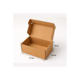 Aspak 17x13x9 Cm Kutu-mini Receiver E-ticaret Kargo Kutusu-01 Desi Kutu-kraft-25 Adet