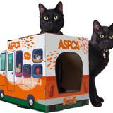 ASPCA Kedi Evi ve Kedi Scratcher w/Bonus Catnip Dahil, Evlat Edinme Kamyon kedi Evi (CAS2030)
