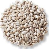 Aspir Tohumu 500 G