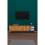 Asra Trend Modern TV Ünitesi %100 MDF Kapaklı Ahşap Ayaklı Televizyon Sehpası T-22 - Antrasit
