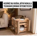 Asrimo 3 Fonksiyon Bir Arada Ahşap Kedi Evi - 50 × 50 cm