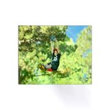 assa spor AKT-032 Zipline Halat Kaydırak Salıncak Profesyonel