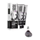 Asse Hair Color Systems 9.11 Grey 60 ml Saç Boyası