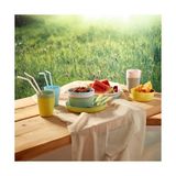 Asseds Store 204.613.78 Kalas 6'lı Paket Plastik Kase Tabağı Çok Renkli Pastel - Option-1 - 0 - Siyah - 1 Adet
