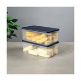 Asseds Store Derin Dondurucu Saklama Kabı 2.1 L - Option-1 - 001-Renkli