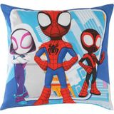 Asseds Store Lisanslı Dh Spidey And Kırlent Çok Renkli Çocuk - 001-Renkli - Option-1