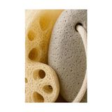 Asseds Store Rustik Ahşap Kovada Banyo Seti, Yumuşak Köpüren Lif, Doğal Kabak Lifi, Ponza Taşı ve Ahşap Masaj Tarağı, Cilt Bakımı ve Duş Keyfi Için Spa Bakım Seti - Option-1