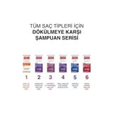 Asseds Store Şampuan – Saç Dökülmesine Karşı, Üzüm Çekirdeği Ekstraktlı, Bitkisel Kompleks B19, Yağ Dengeleyici, 360 ml - Option-1