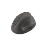 Assmann Kablosuz Ergonomik Optik Mouse