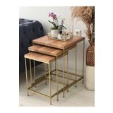 AssuCasa Brad Gold Metal Ceviz Kaplama Zigon Sehpa