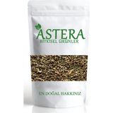 ASTERA 100 Gr Kereviz Tohumu