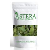 Astera 25 gr Sidr Yaprağı