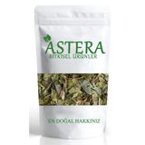 ASTERA 50 Gr Avakado Yaprağı