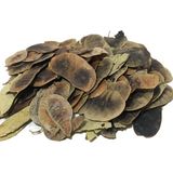 Astera Açlık Otu 1 kg
