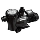 Astral Victoria Plus 1 Hp 380 V Havuz Pompası