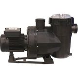 Astral Victoria Plus 1 Hp Monofaze Kendinden Emişli Havuz Pompası